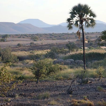 Palmwag Campsite Buitenkant foto